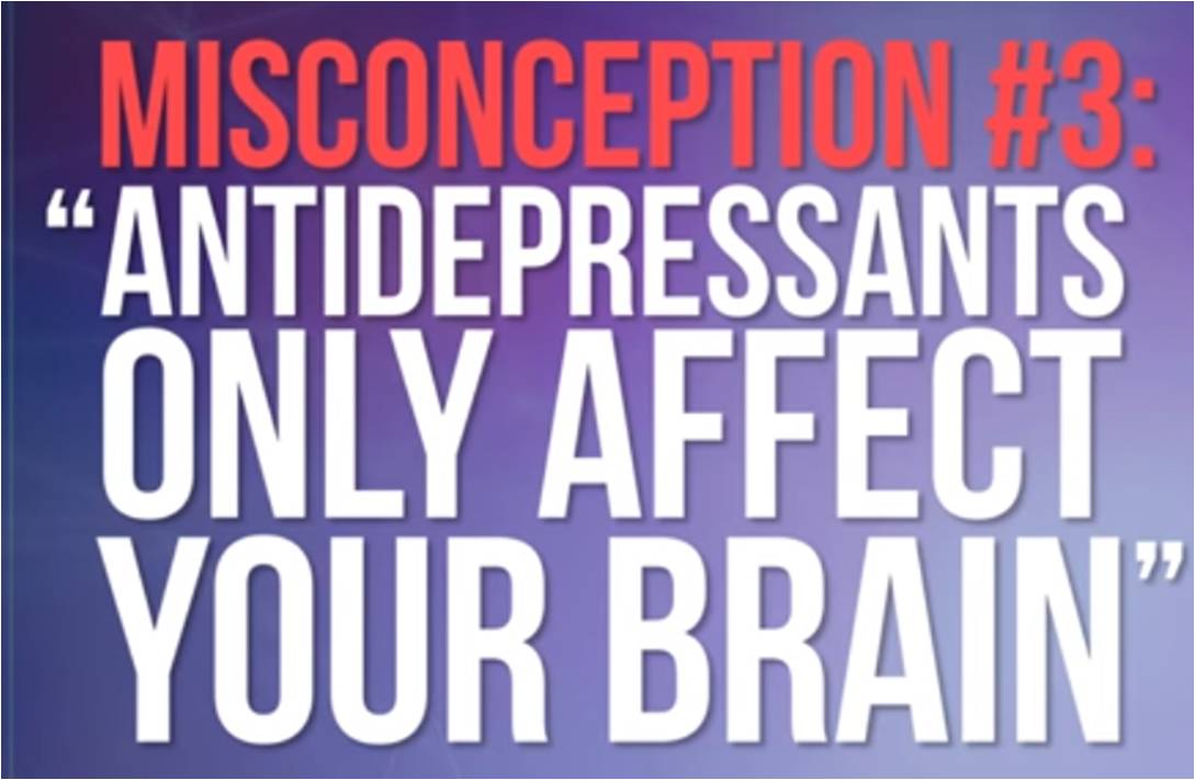 4 Common Misconceptions About Antidepressants - New World : Artificial ...