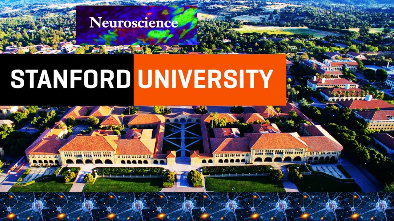 stanford university phd neuroscience